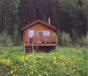 Bear Corner Adventures Bed & Bale Golden Exterior photo