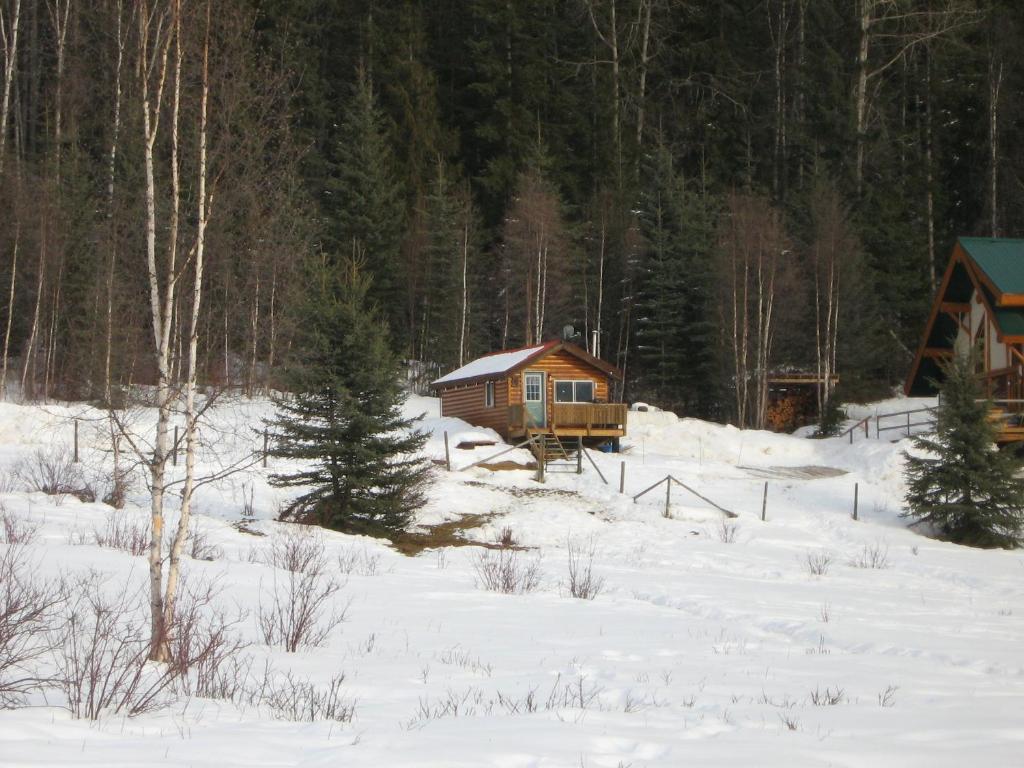 Bear Corner Adventures Bed & Bale Golden Exterior photo